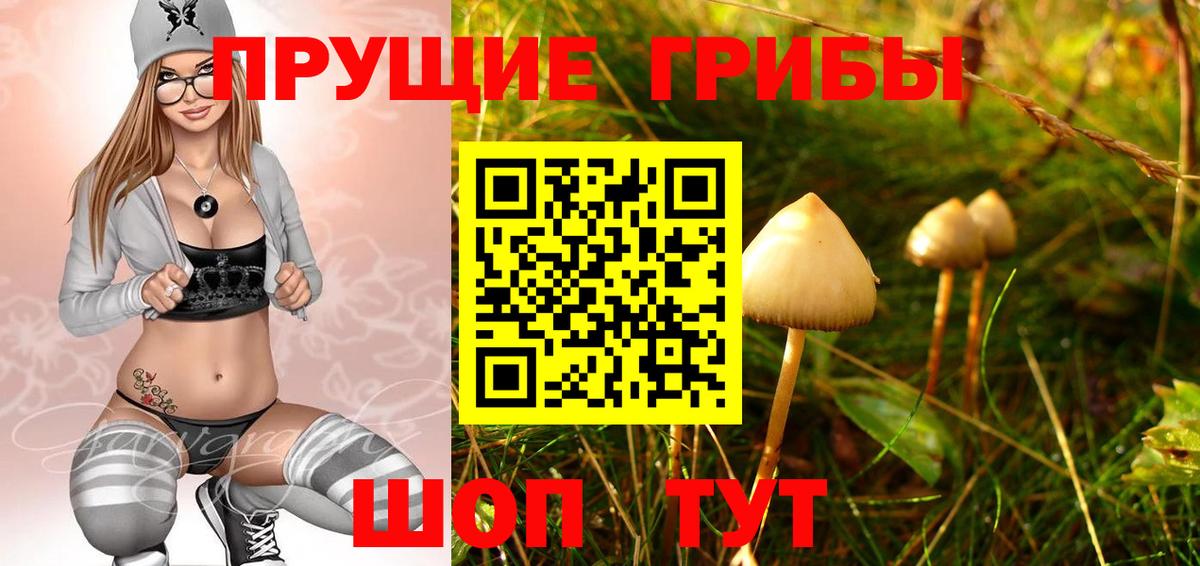 Галлюциногенные грибы Cubensis  Вход с VPN  Галлюциногенные грибы Magic Shrooms  Гулькевичи 
