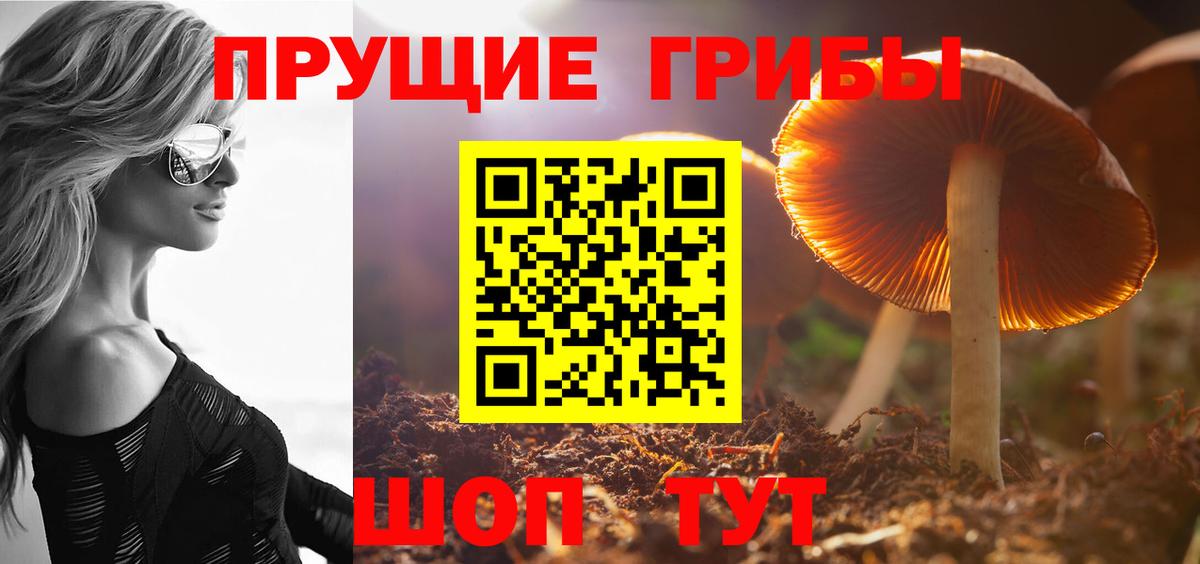 Галлюциногенные грибы прущие грибы Гулькевичи